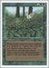 Image for Kudzu (3ED) - Magic: The Gathering