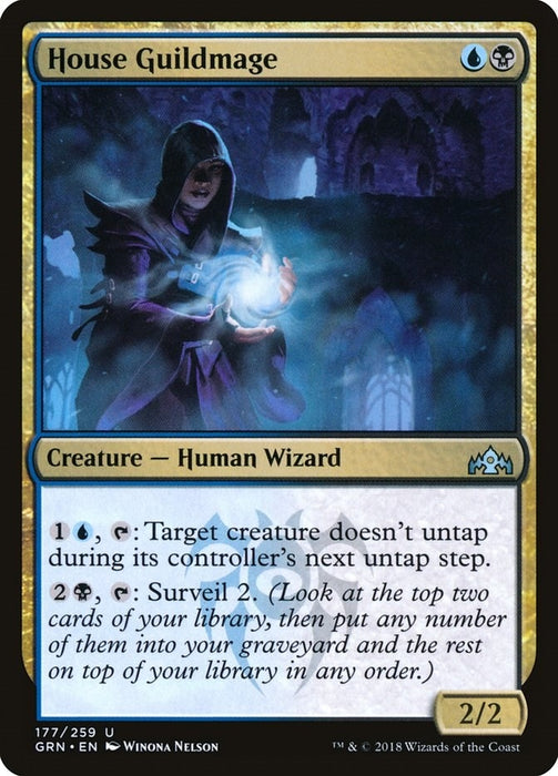 Image for House Guildmage (177) (GRN) - Magic: The Gathering