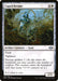 Image for Caprichrome (9) (MH2) - Magic: The Gathering