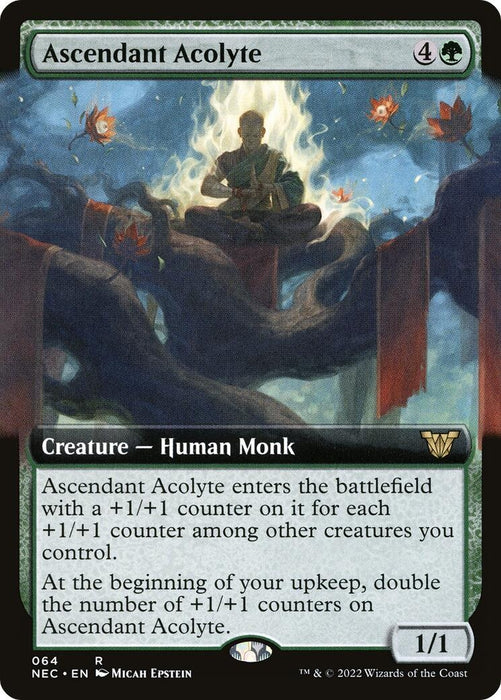Image for Ascendant Acolyte (Extended Art) (64) (NEC) - Magic: The Gathering