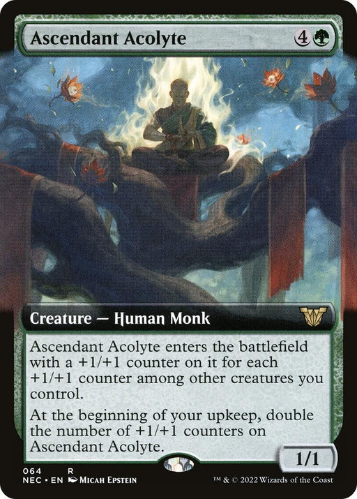 Image for Ascendant Acolyte (Extended Art) (64) (NEC) - Magic: The Gathering