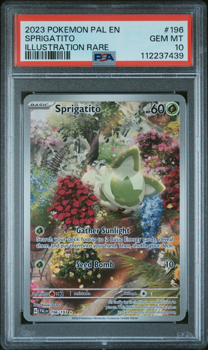 SPRIGATITO ILLUSTRATION RARE 2023 POKEMON PAL EN-PALDEA EVOLVED PSA GEM MT 10