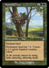 Image for Squirrel Nest (Retro Frame) (349) (DMR) - Magic: The Gathering