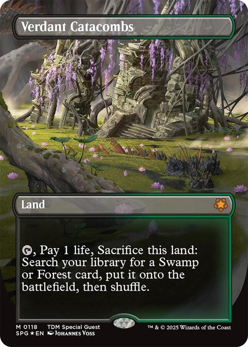 Image for Verdant Catacombs (Borderless) (Dragonscale Foil) (118) (SPG) - Magic: The Gathering