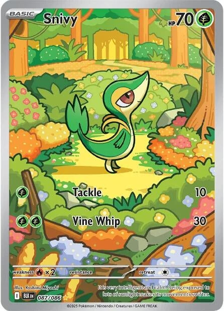 Image for Snivy (087/086) (BLK) - Pokemon