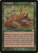 Image for Food Chain (246) (MMQ) - Magic: The Gathering