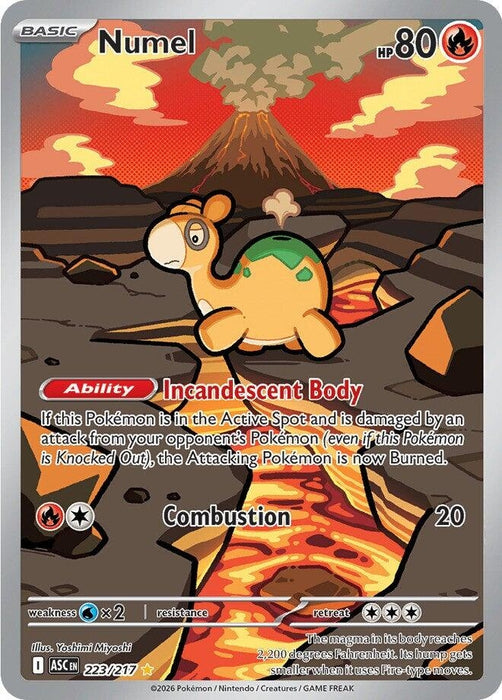 Numel (223/217) (ASC)