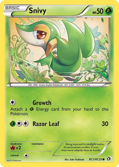 Snivy (RC1/RC25) (LTR)