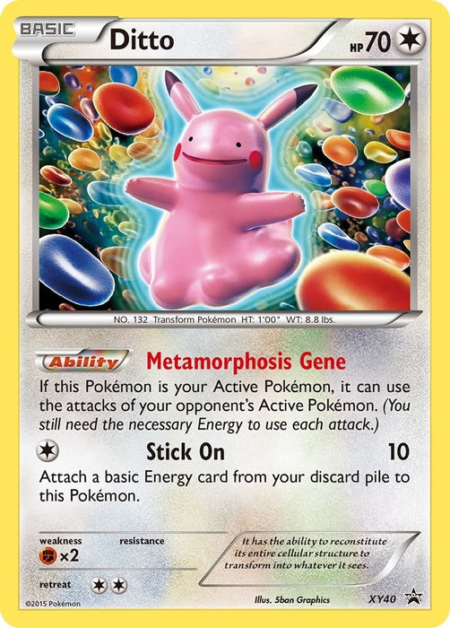 Ditto (XY40) (PR)