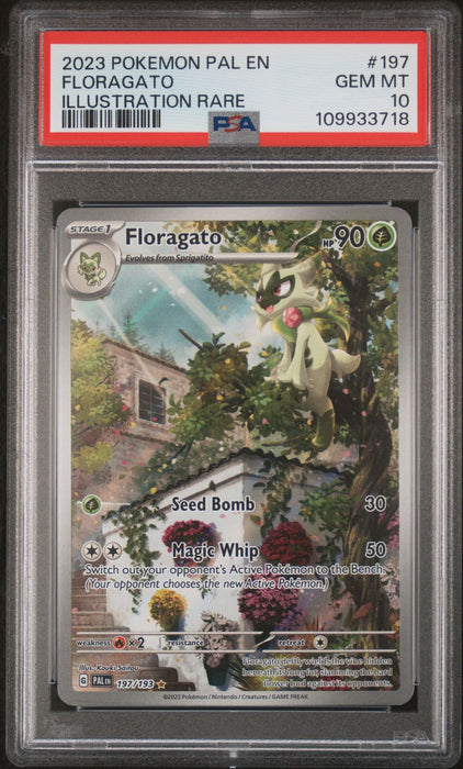 FLORAGATO ILLUSTRATION RARE 2023 POKEMON PAL EN-PALDEA EVOLVED PSA GEM MT 10